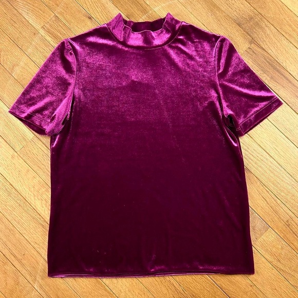 Zara Tops - Purple velvet mock neck top